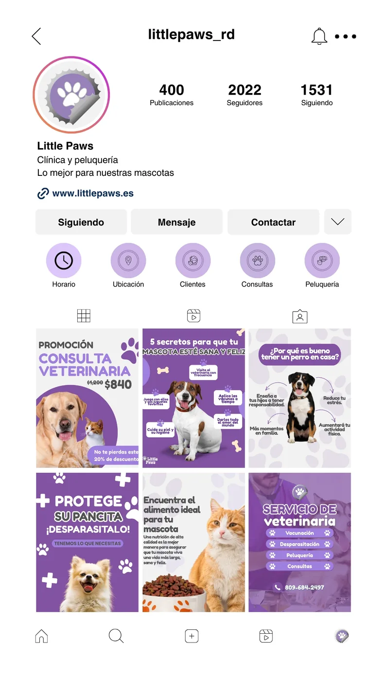 Little Paws Veterinary